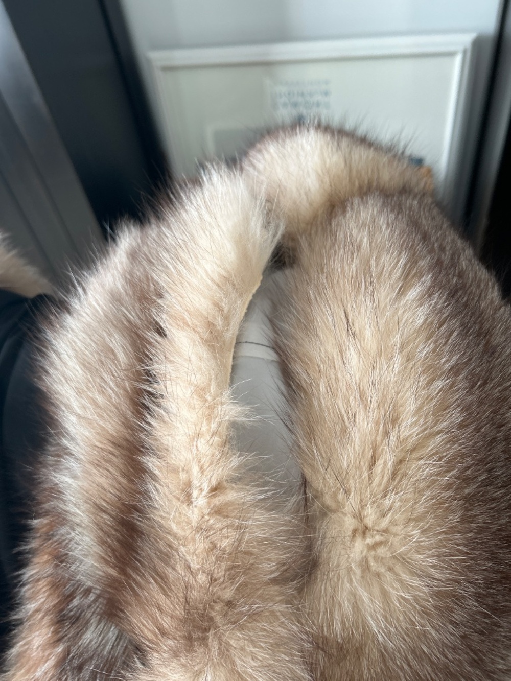 Mink Coat - Picture 5 of 5